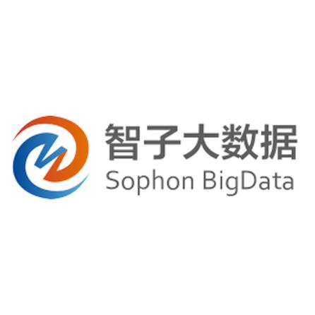 开发,处理,分析及咨询; a target="_blank" href="/item/计算机信息